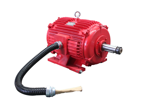 YT系列地鐵風(fēng)機(jī)用三相異步電動機(jī)